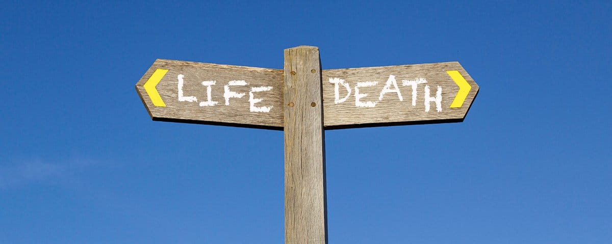 Humanity’s Greatest Illusion: Life and Death—The Mirage Before Fate