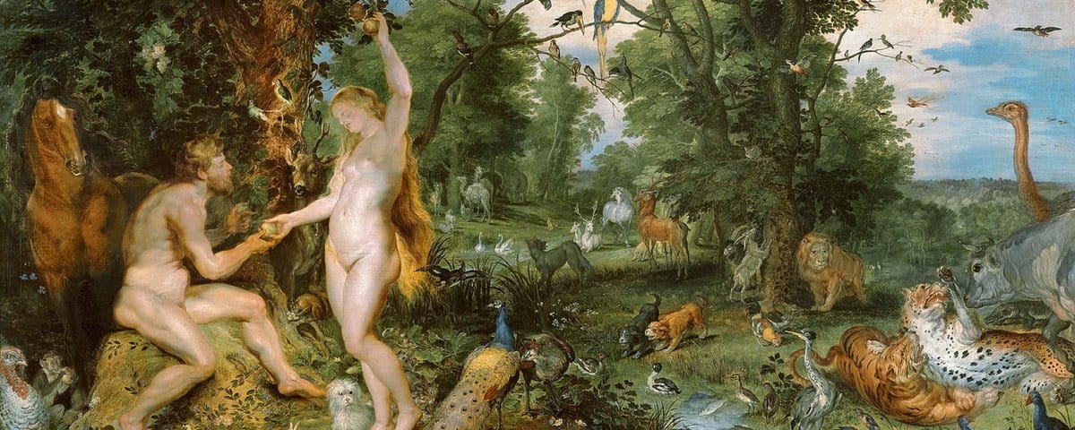 Fate on the First Human—The Descent from Divine