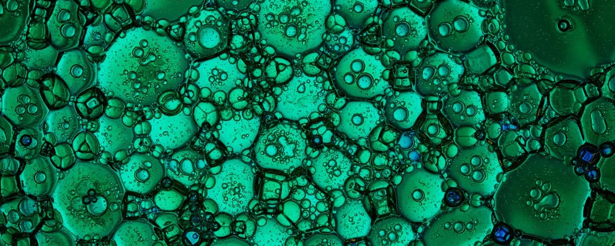 Fate on the Microcosm of Humanity—Fragments of Illusion