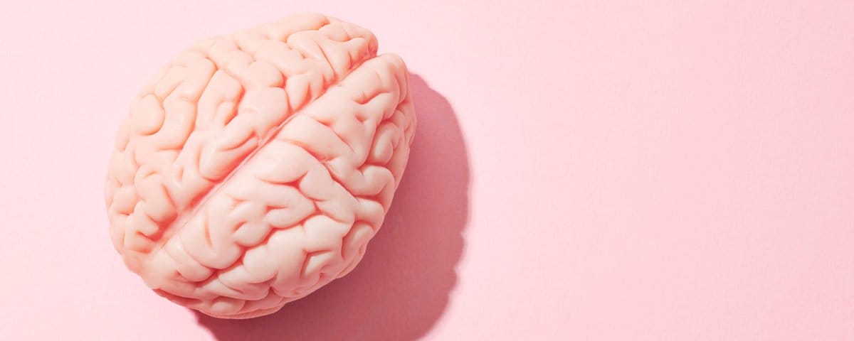 Fate on Modern Science—MitoBrainMap, Suchong’s Mausoleum