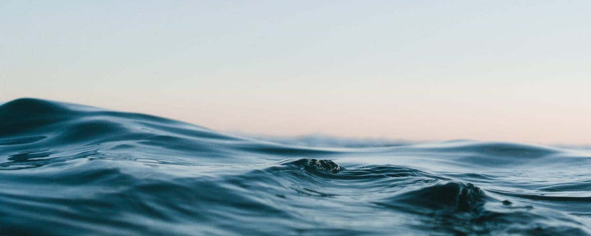 Fate on the Irony of Ritual and the Formless Truth—The Middle Path Beyond the Bottle