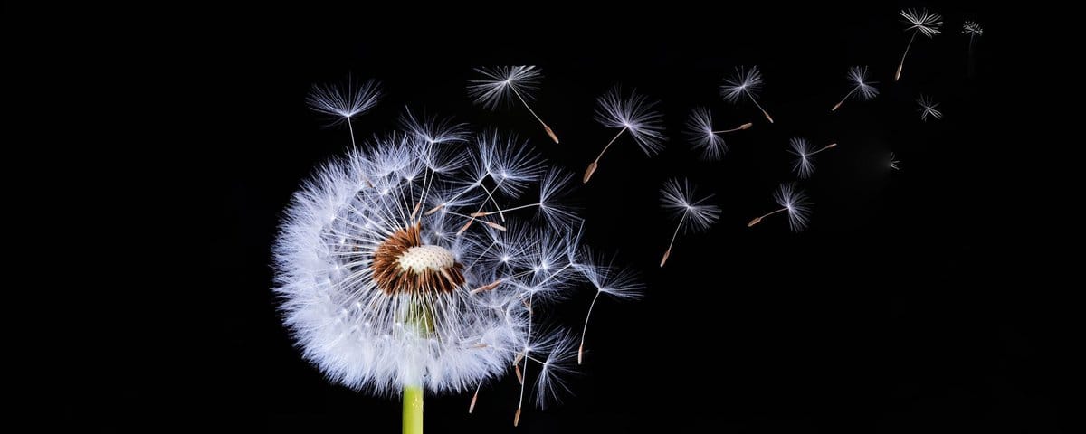 Fate on ‘Here Today, Gone Tomorrow’—The Fatalism of the Unlived