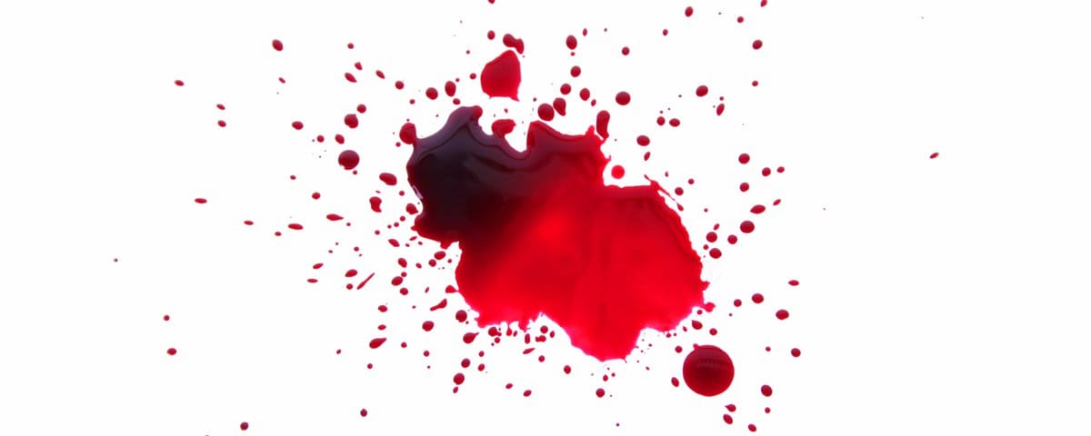 Fate on Blood and Being—The Divide Beyond the Flesh