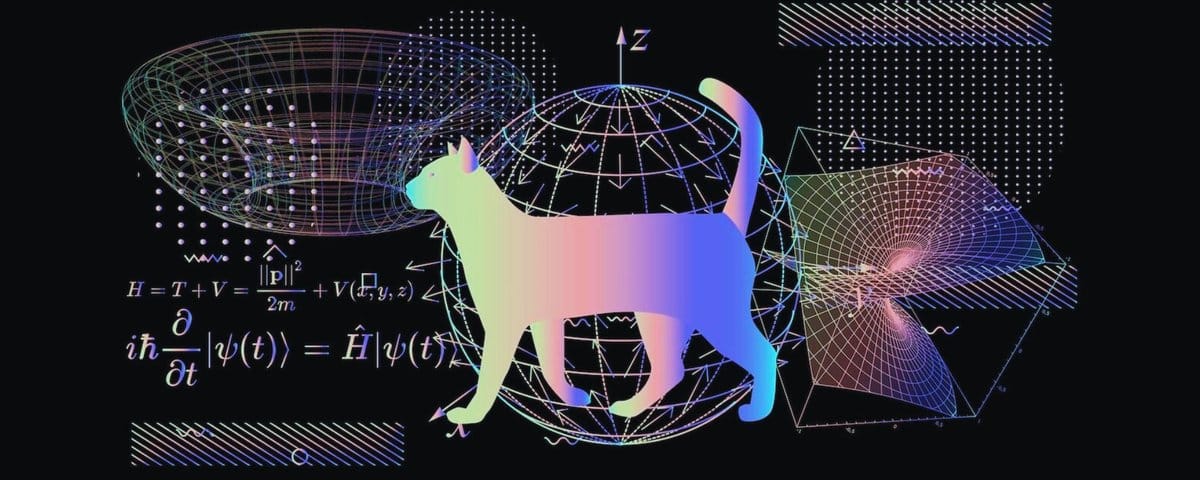 Fate on Quantum Mechanics, the False Premise, and the Binary Collapse