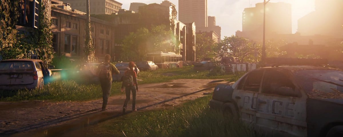 Fate on the Fern, the Cure, the Fragility of Life