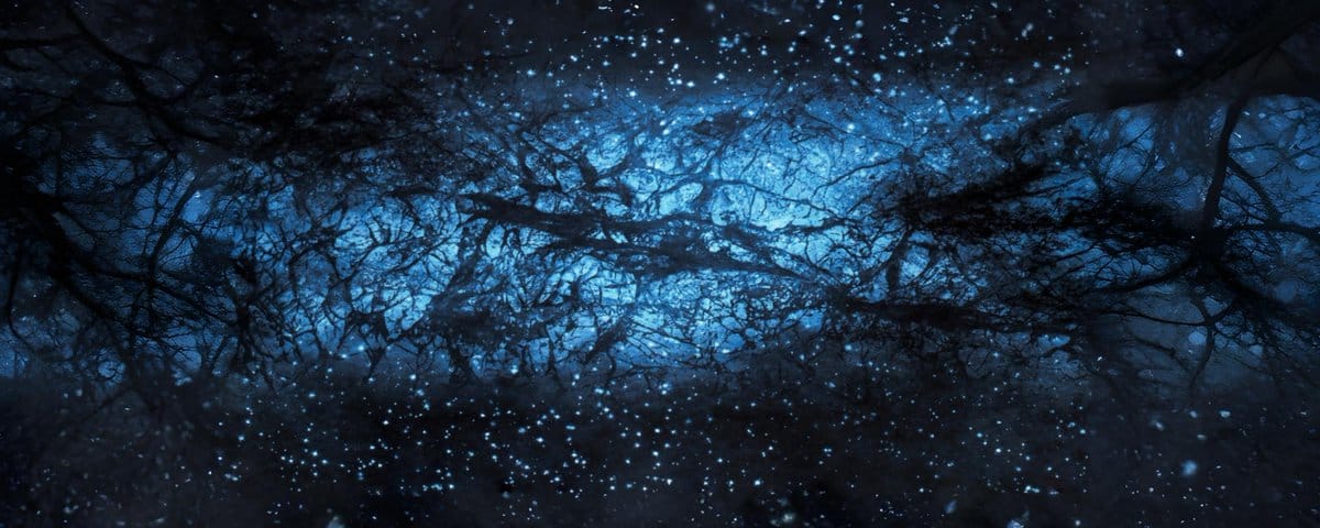 Fate on Dark Matter—The Undisturbed, Uncollapsed Sea