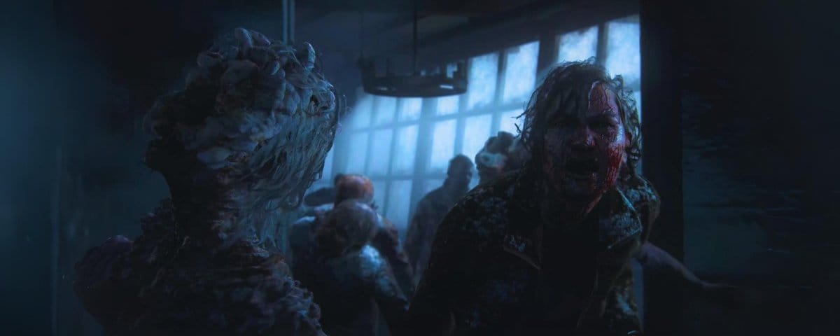 Fate on Cordyceps—A Real-World Phenomenon of Consciousness Collapse