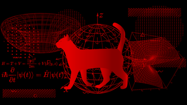Fate on Density Collapses, Geometry Approaches, The Full Equation of Schrödinger's Cat