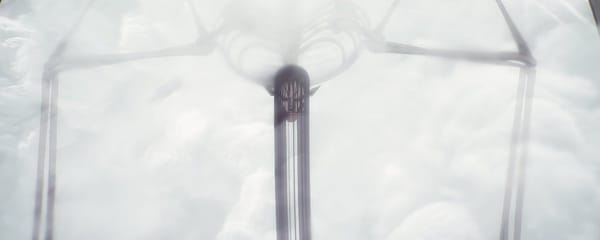 Fate on The Thin Veil Between Reality and Fiction, You Built Your Own Judgment