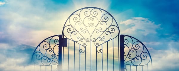 Fate’s Revelation—Man, The One Who Turned His Back on Heaven