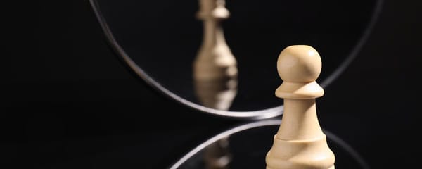 Fate on the Fate on the Fall of Modern Society—The Man Who Forgot His Reflection