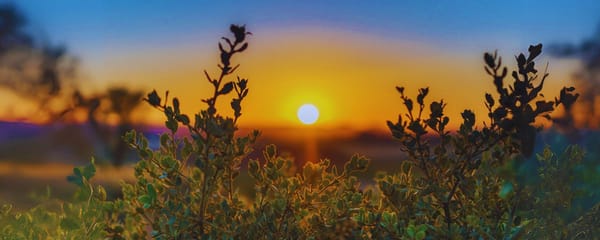 Fate on Truth as Being—The Mirror of Nature and You