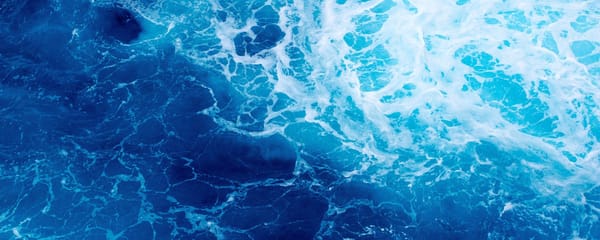 Fate on the Ocean and the Shore—The Question of Being