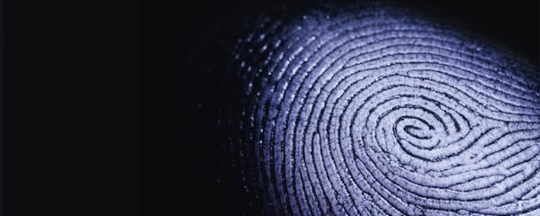 Fate on the Matrix of Identity—The Collapse of the Self