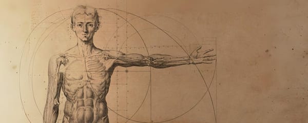 Fate on What the Human Is Made Of—A Dissection with Being