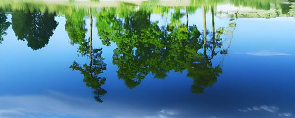 Fate on Consciousness as an Ocean—The Stillness Beneath the Mirror