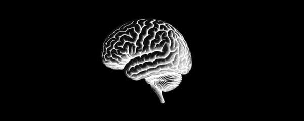 Fate on the Inverse of Human Thinking and the Error