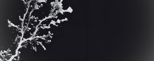 Fate on The Last of Us and the Parallel to Humanity