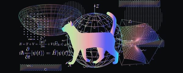 Fate on Quantum Mechanics, the False Premise, and the Binary Collapse