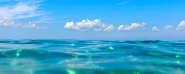 Fate on the Delusion of “Life Dies”—The Infinite Cannot End