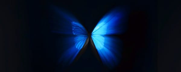Fate on the Butterfly Effect—An Entanglement and Ripple of Localized Fields, the True Math Behind It