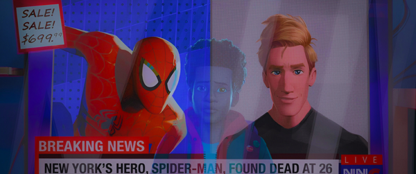 Fate on The Mirror of Spider-Man: The Reflection of The Singularity and Worlds Without Being